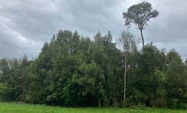 Legalpropschile Vende Parcela En Nueva Braunau