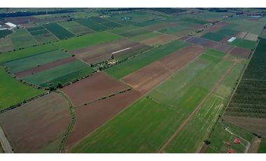 Hermosas Y Planas Parcelas En Hacienda Santa Teresa Sur - Sa