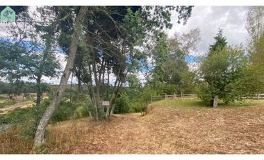 Parcela 0,5ha Urbanizada Rio Bueno/la Unión/ Lago Ranco- Rio