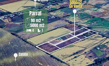 Parcela En Parral, Porvenir Oriente - Divergente Propiedades