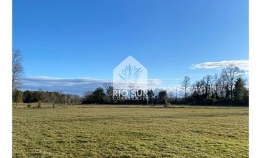 Parcela Lago Ranco Urbanizada + Bosque Nativo - Rio Sur Corr