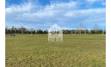 Parcela Lago Ranco Urbanizada + Bosque Nativo - Rio Sur Corr