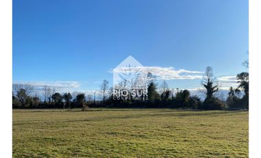 Parcela Lago Ranco Urbanizada + Bosque Nativo - Rio Sur Corr