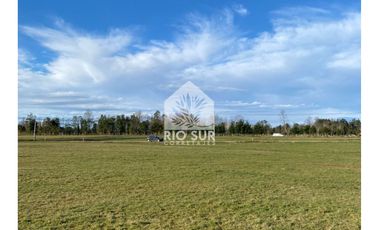 Parcela Lago Ranco Urbanizada + Bosque Nativo - Rio Sur Corr