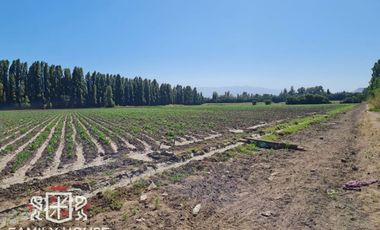 Terreno De 13 Hectáreas Para Proyecto Inmobiliario - Family