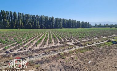 Terreno De 13 Hectáreas Para Proyecto Inmobiliario - Family