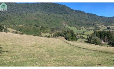Parcelas Con Vista Al Lago Ranco (4/8 Disponibles) - Rio Sur