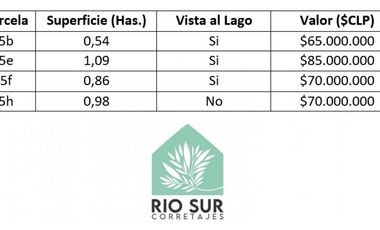 Parcelas Con Vista Al Lago Ranco (4/8 Disponibles) - Rio Sur