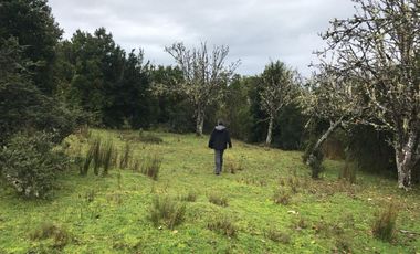 Maravilloso Terreno En Chiloe, Isla Tranqui - Nuevo Horizont