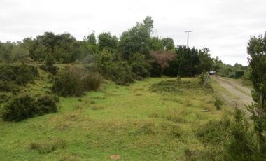 Maravilloso Terreno En Chiloe, Isla Tranqui - Nuevo Horizont