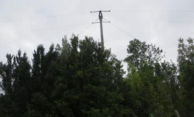 Maravilloso Terreno En Chiloe, Isla Tranqui - Nuevo Horizont