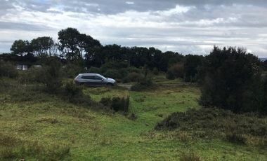 Maravilloso Terreno En Chiloe, Isla Tranqui - Nuevo Horizont