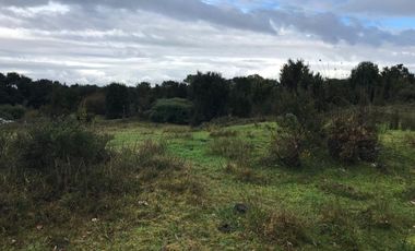 Maravilloso Terreno En Chiloe, Isla Tranqui - Nuevo Horizont
