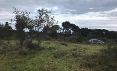Maravilloso Terreno En Chiloe, Isla Tranqui - Nuevo Horizont