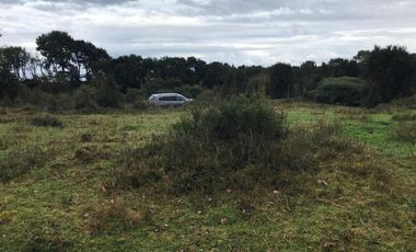 Maravilloso Terreno En Chiloe, Isla Tranqui - Nuevo Horizont