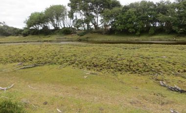 Maravilloso Terreno En Chiloe, Isla Tranqui - Nuevo Horizont