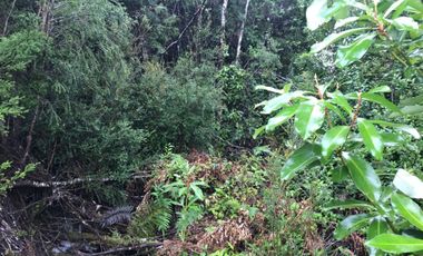 Maravilloso Terreno En Chiloe, Isla Tranqui - Nuevo Horizont