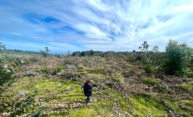 Navidad: Parcela De 5.800 Mt En  Fundo Quincheumo. Eje Coste