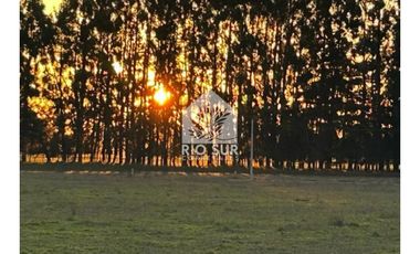 Parcelas Urbanizadas + Gastos Operacionales Rio Bueno, La Un