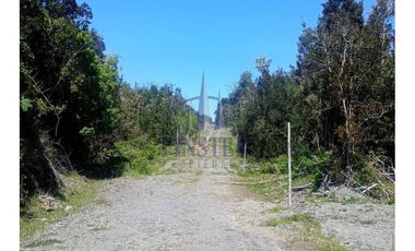 Finster Vende Parcelas Rio Pescado 5.000m2, Puerto Varas