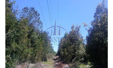 Finster Vende Parcelas Rio Pescado 5.000m2, Puerto Varas