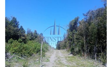 Finster Vende Parcelas Rio Pescado 5.000m2, Puerto Varas