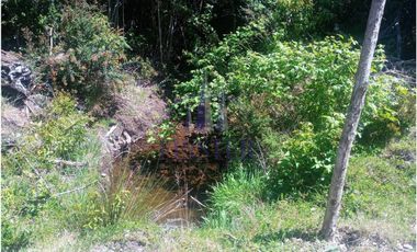 Finster Vende Parcelas Rio Pescado 5.000m2, Puerto Varas