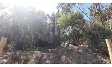 Parcela De 5000 M² En Condominio Altos De Olmué