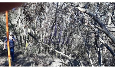 Parcela De 5000 M² En Condominio Altos De Olmué