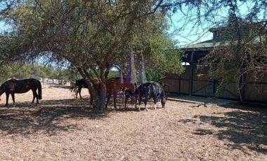 Parcela De 5000 M² En Condominio Altos De Olmué