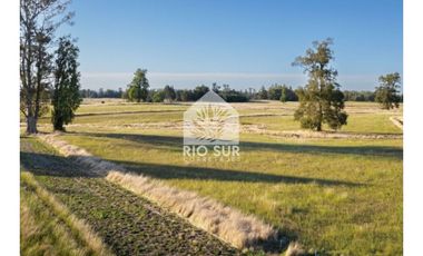 Parcelas Urbanizadas Osorno (0,5ha) - Rio Sur Corretajes