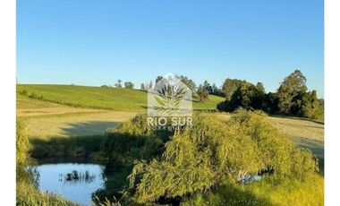 Parcelas Urbanizadas Osorno (0,5ha) - Rio Sur Corretajes