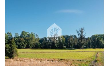 Parcelas Urbanizadas Osorno (0,5ha) - Rio Sur Corretajes