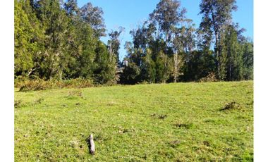 Terreno Sector Los Muermos - Austral Partners