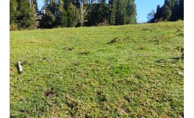 Terreno Sector Los Muermos - Austral Partners