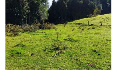 Terreno Sector Los Muermos - Austral Partners