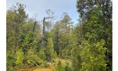Campo En La Unión Huaillihuape - Austral Partners