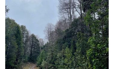 Campo En La Unión Huaillihuape - Austral Partners