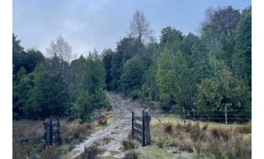 Campo En La Unión Huaillihuape - Austral Partners