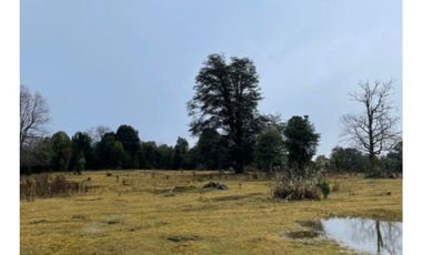 Campo En La Unión Huaillihuape - Austral Partners