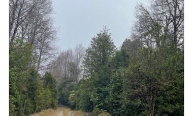 Campo En La Unión Huaillihuape - Austral Partners