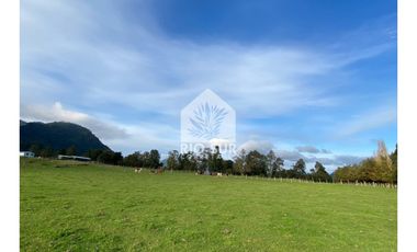 Parcela 0,5ha. Riñinahue - Rio Sur Corretajes