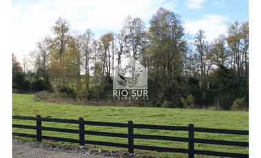 Parcelas Urbanizadas Lago Ranco-santa Rosa - Rio Sur Correta