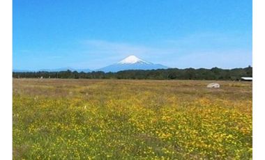 Hermosa Parcela Con Vistas A Volcanes - Austral Partners