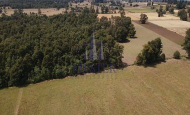 Maravillosas Parcelas Sector De Pilmaiquén, Lago Ranco