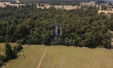 Maravillosas Parcelas Sector De Pilmaiquén, Lago Ranco