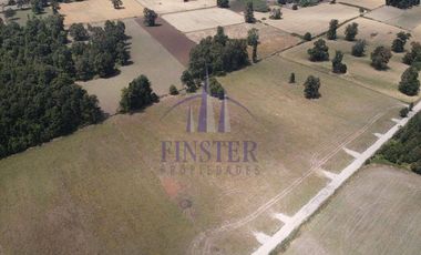 Maravillosas Parcelas Sector De Pilmaiquén, Lago Ranco