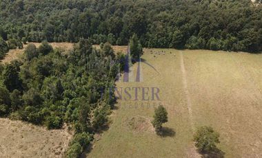 Maravillosas Parcelas Sector De Pilmaiquén, Lago Ranco