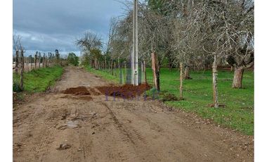 Maravillosas Parcelas Sector De Pilmaiquén, Lago Ranco