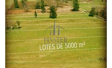 Maravillosas Parcelas Sector De Pilmaiquén, Lago Ranco